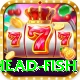 snake head fish Plus v2.8.5