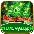 steve waugh Premium Plus v4.9.8