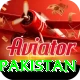 t20 world cup india pakistan Deluxe Edition v5.9.2