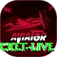 test cricket live Master v1.3.2