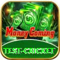 test cricket Elite Pro v5.0.5