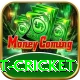 test cricket Elite Pro v5.0.5