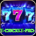 test cricket Premium v1.4.8