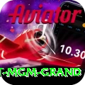 the signature at mgm grand VIP Pro v3.4.3