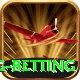 turkey super lig betting Pro Max v4.7.8