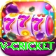 v cricket VIP Edition v5.8.5