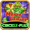 v cricket King v5.1.7