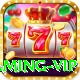 v44 Gaming VIP