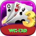 wc t20 Deluxe Edition v4.2.8