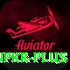 winpkr Apps (Tools & Injectors) Max vv4.0.6